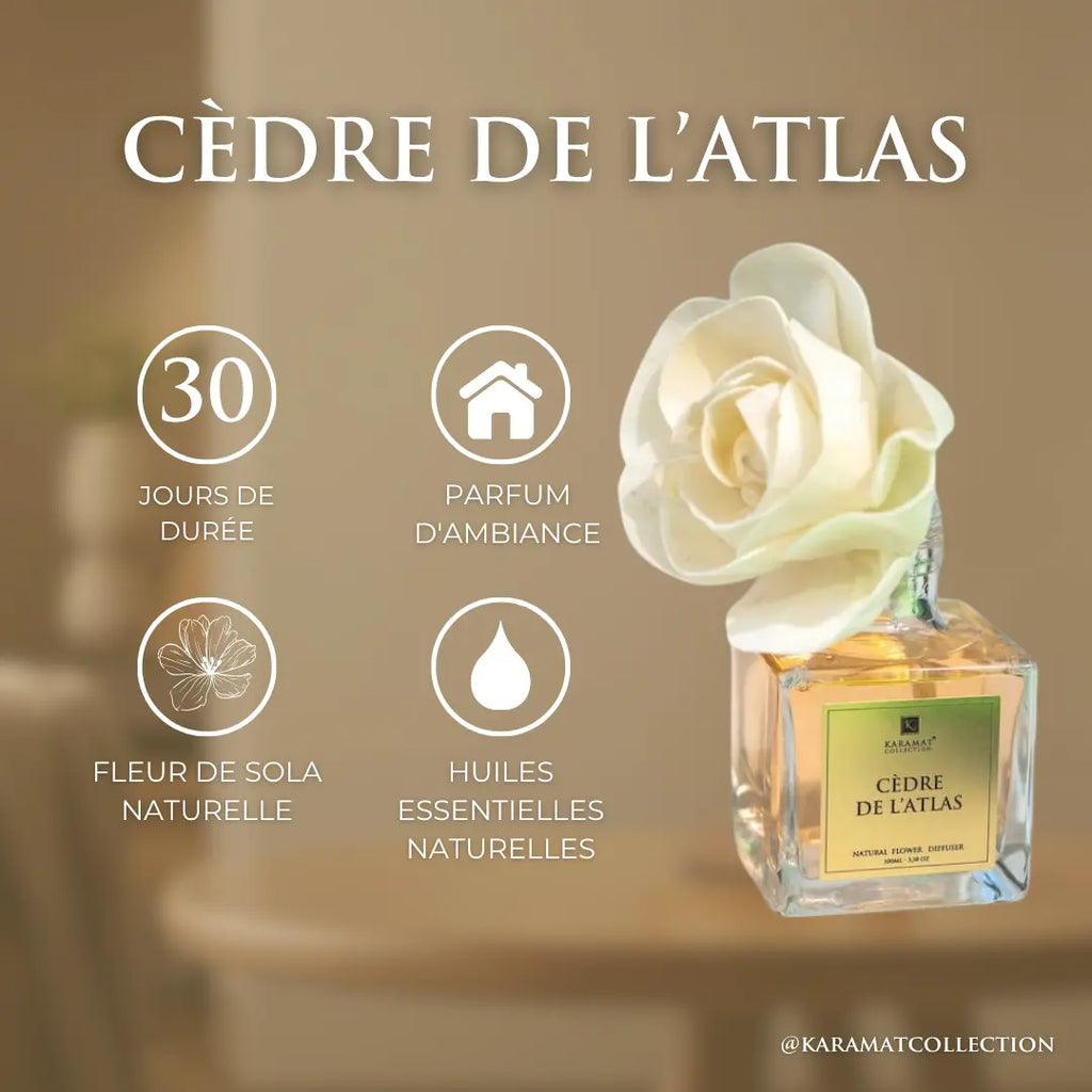DIFFUSEUR À FLEURS 100ml – CÈDRE DE L’ATLAS