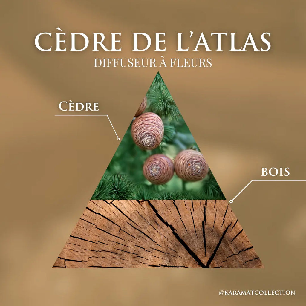 DIFFUSEUR À FLEURS 100ml – CÈDRE DE L’ATLAS