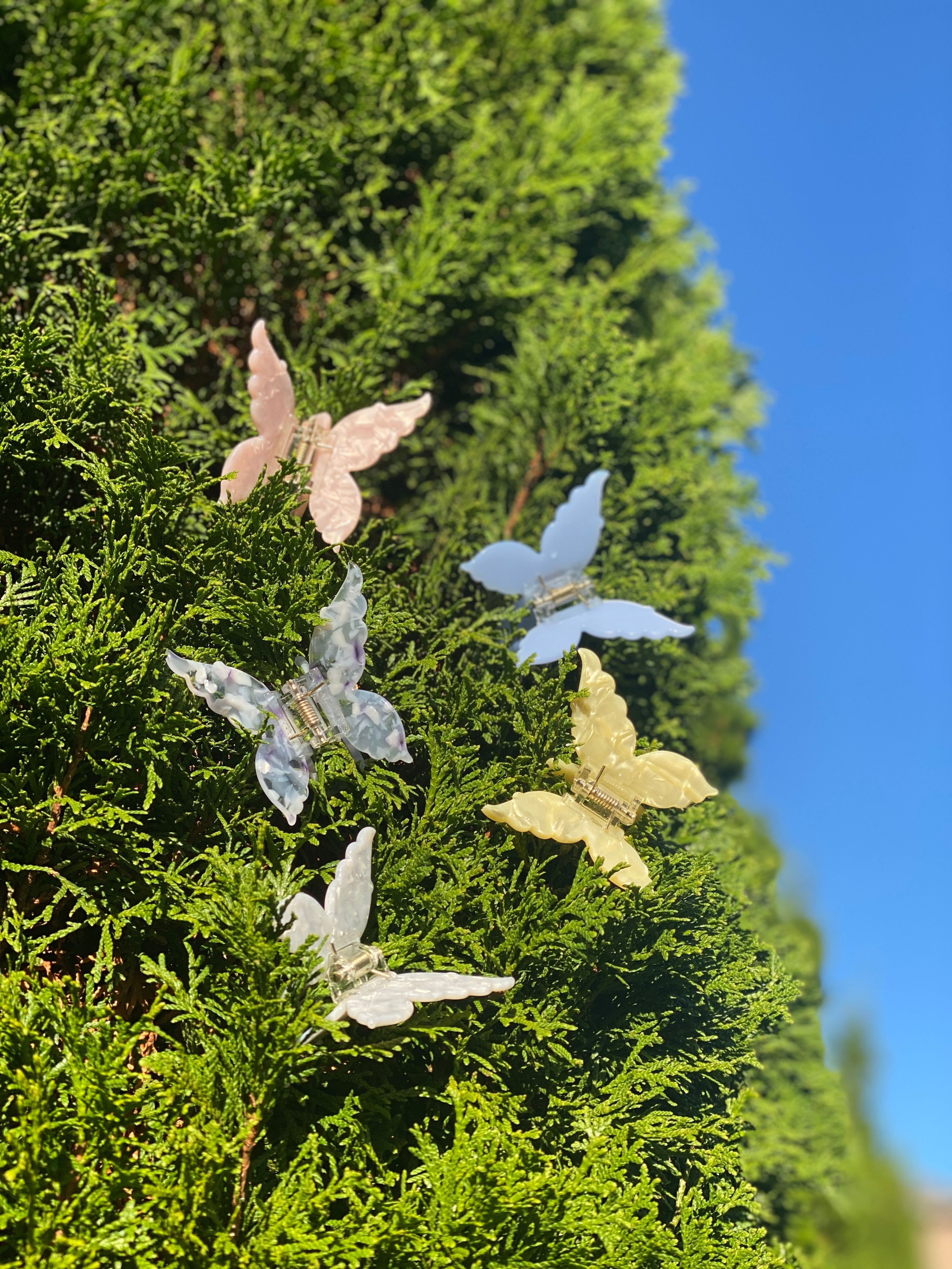 Ecofriendly Acetate Butterfly Claw - Sugar Pink-4